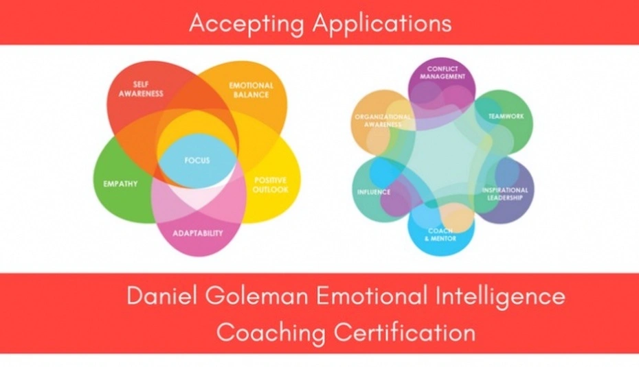 emotional awareness coaching